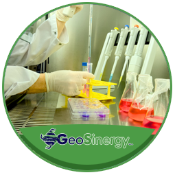 GEOSINERGY-SERVIZI-LABORATORIO